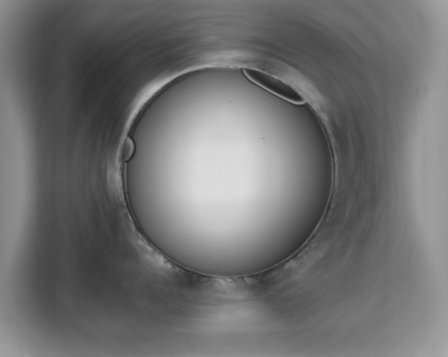 X0000112840960200908281549