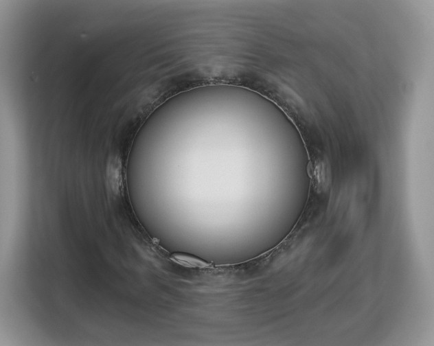 X0000112840963200908281548