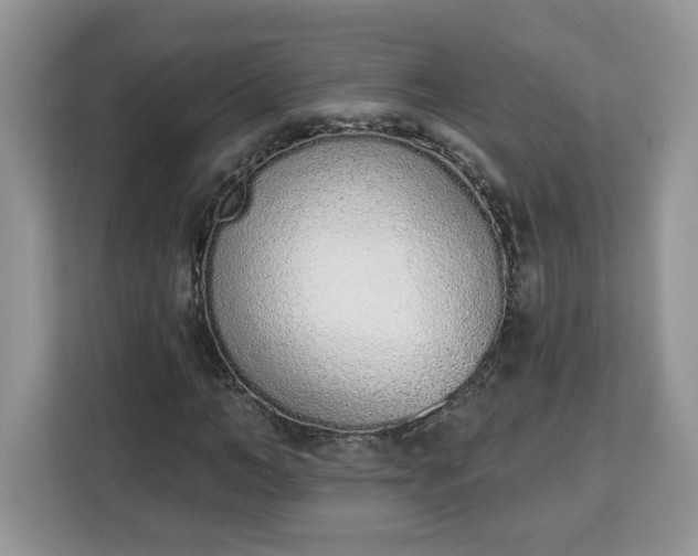 X0000112840966200908281548