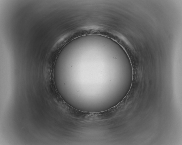 X0000112840967200908281548