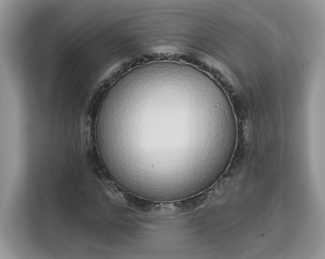 X0000112840968200908281548