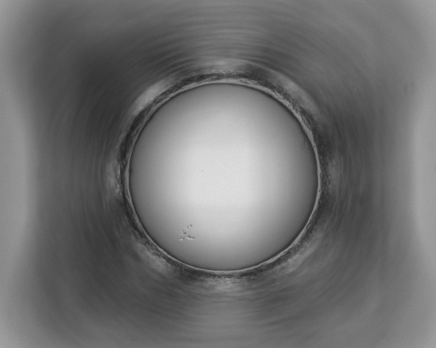 X0000112840970200908281548