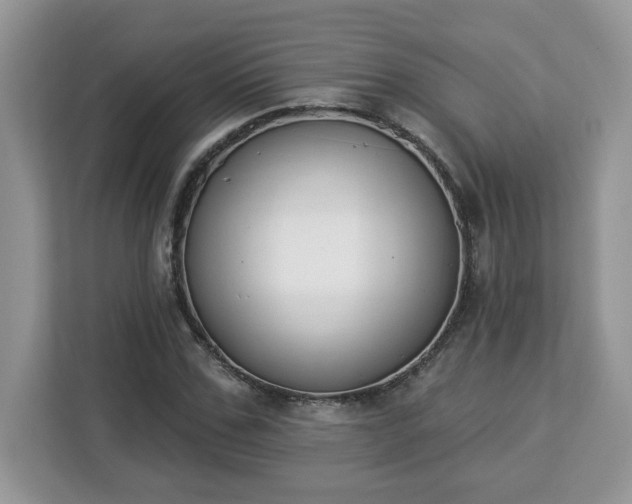 X0000112840971200908281548