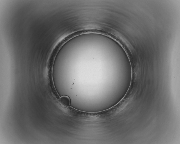 X0000112840975200908281548