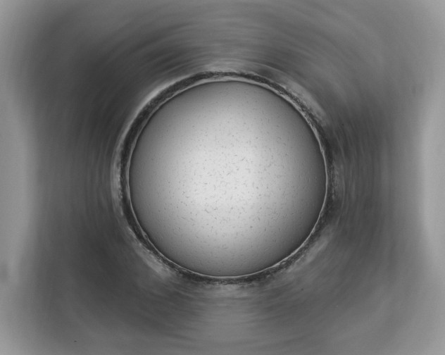 X0000112840976200908281548