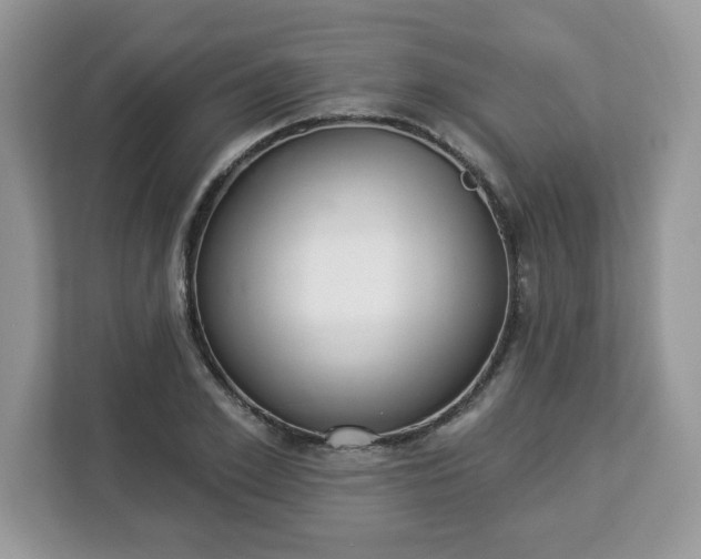 X0000112840981200908281548