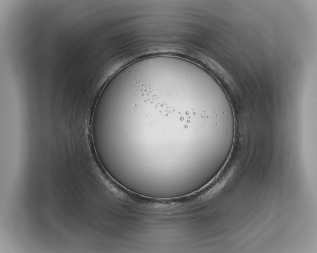 X0000112840985200908281548