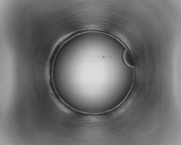 X0000112840987200908281548