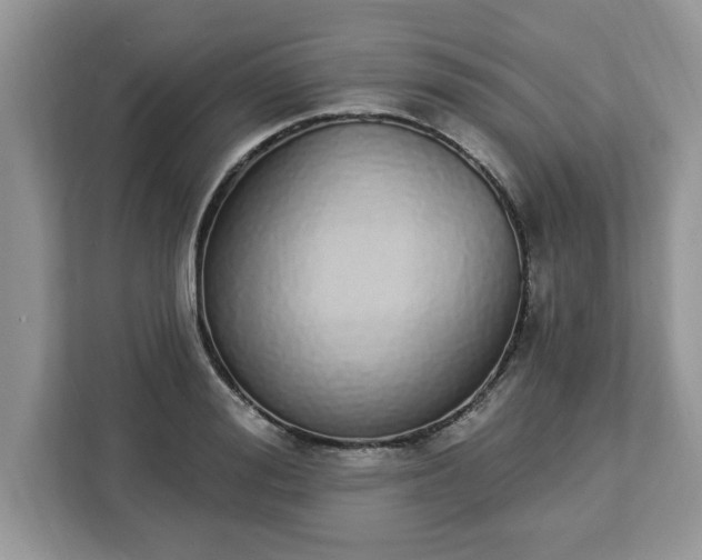 X0000112840988200908281548