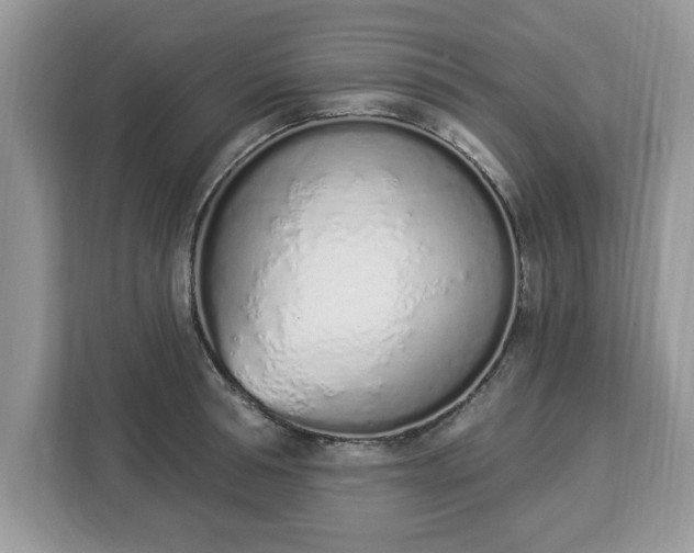 X0000112840994200908281548