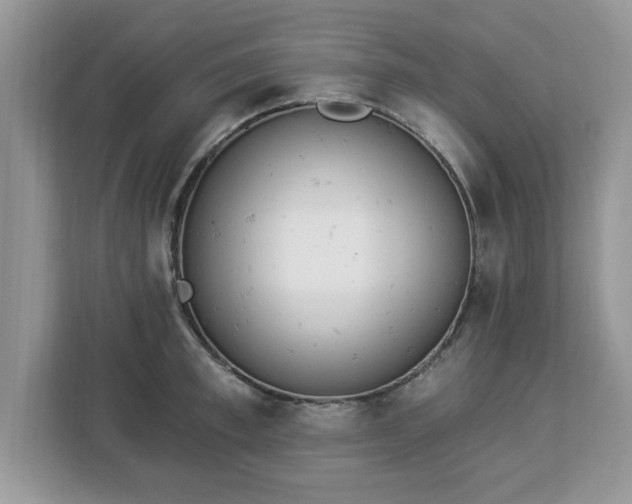 X0000112840997200908281548