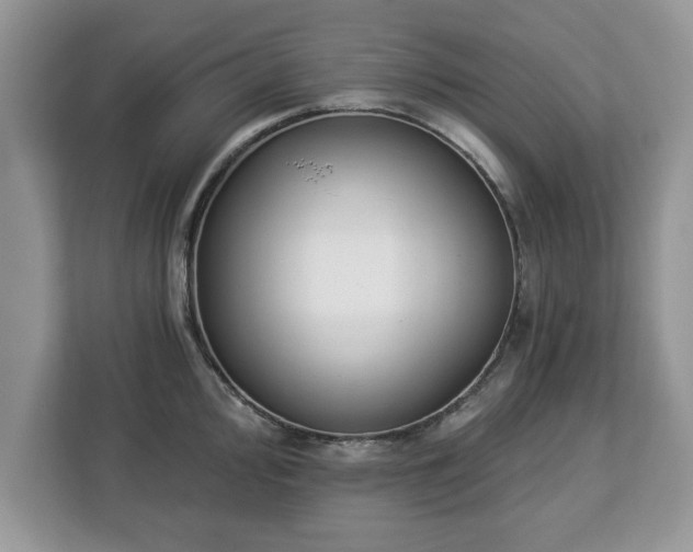 X0000112841000200908281548