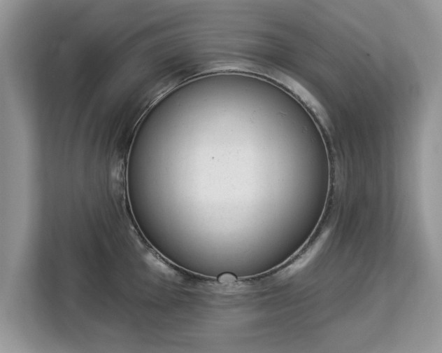 X0000112841001200908281548