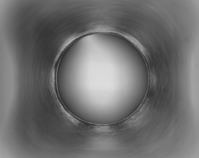 X0000112841006200908281548