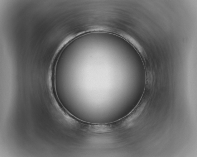 X0000112841007200908281548