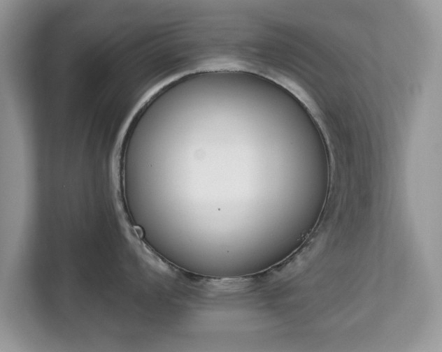 X0000112841008200908281548