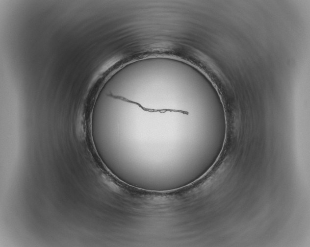 X0000112841018200908281547