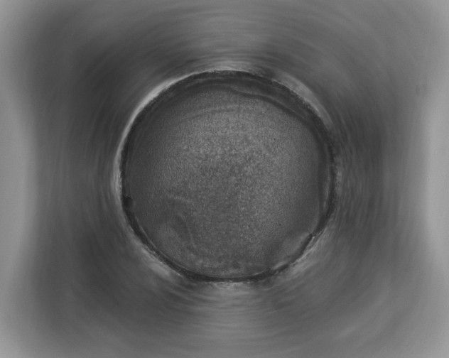 X0000112841024200908281547