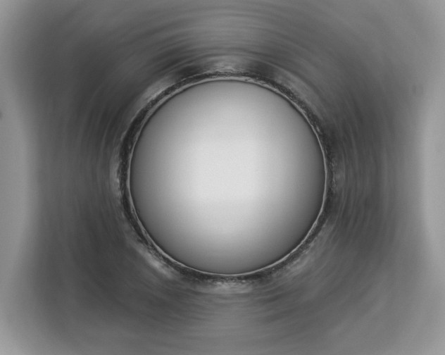 X0000112841026200908281547