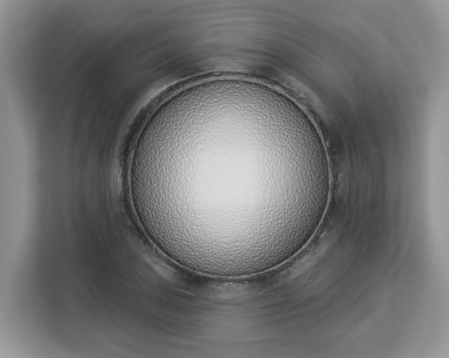 X0000112841027200908281547