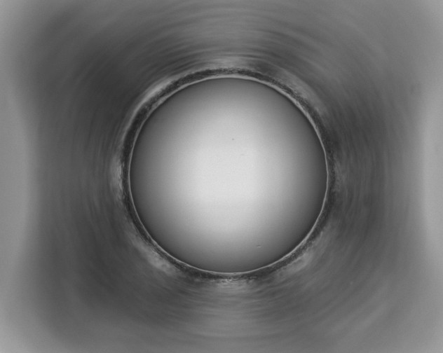 X0000112841029200908281547