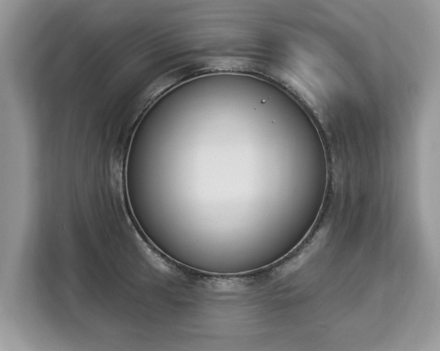 X0000112841041200908281548