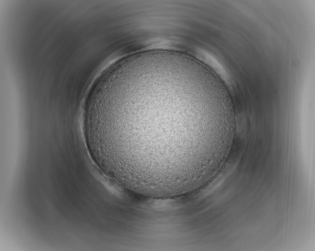 X0000112841043200908281548