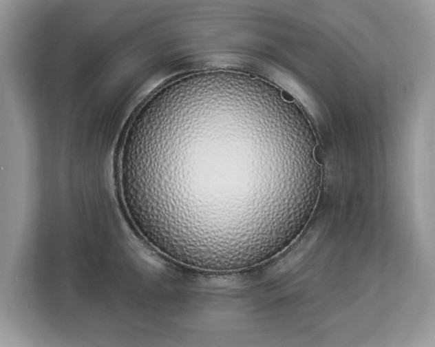 X0000112841047200908281548