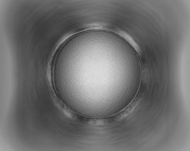 X0000112841051200908281548