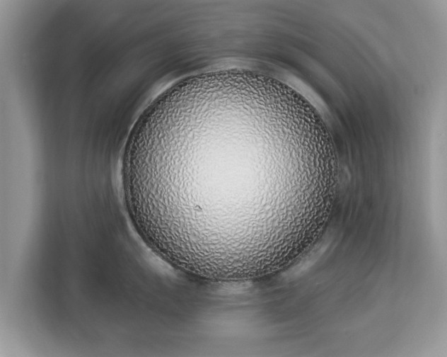 X0000112841055200908281548