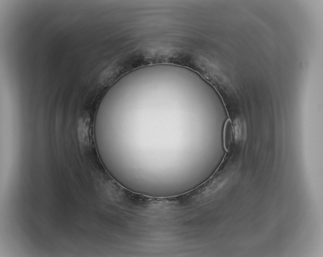 X0000112841059200908281547