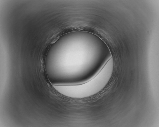 X0000112841060200908281547