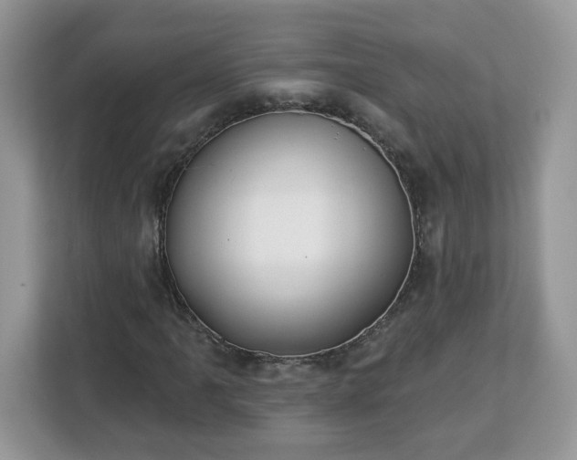 X0000112841061200908281547