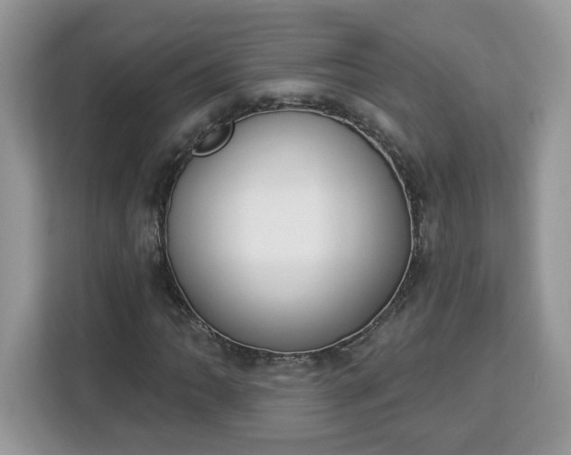 X0000112841062200908281547