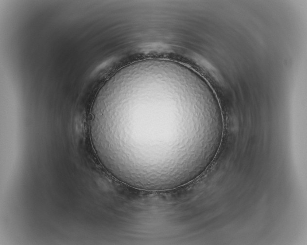 X0000112841063200908281547