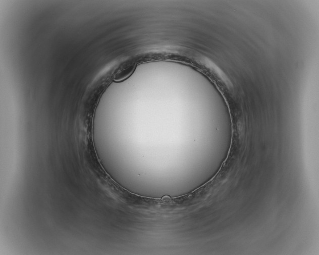 X0000112841064200908281547