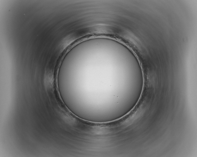 X0000112841065200908281547