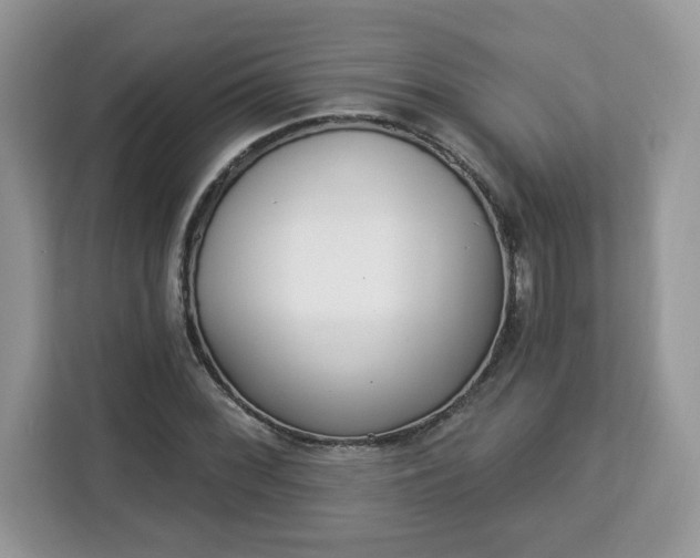 X0000112841068200908281547