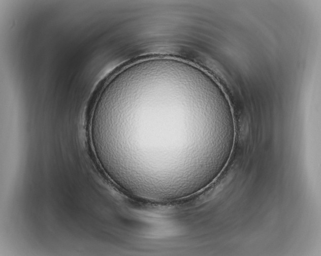 X0000112841071200908281547