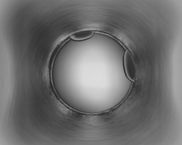 X0000112841072200908281547