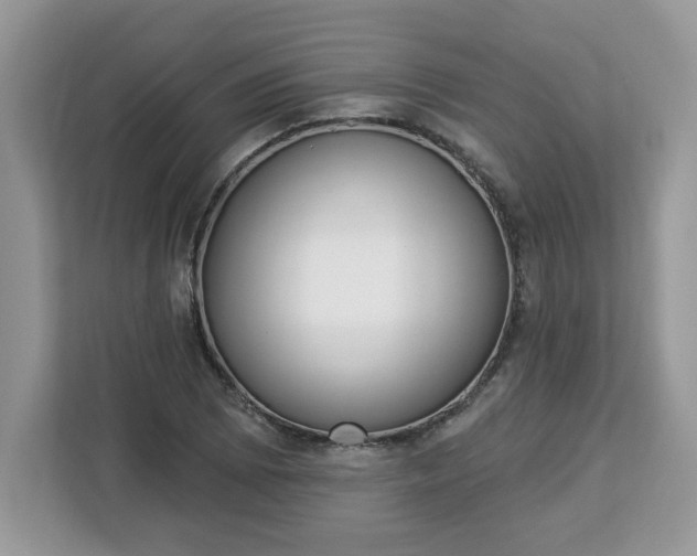 X0000112841073200908281547