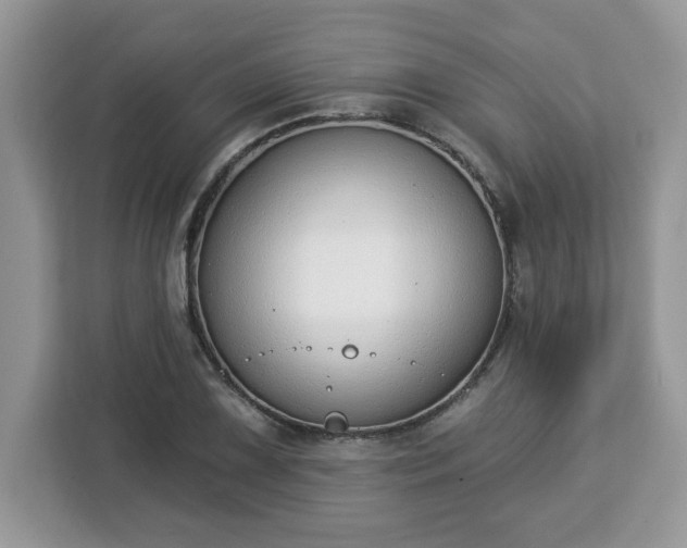 X0000112841075200908281547