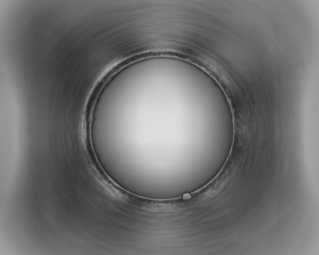 X0000112841076200908281547