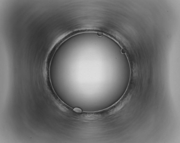 X0000112841077200908281547