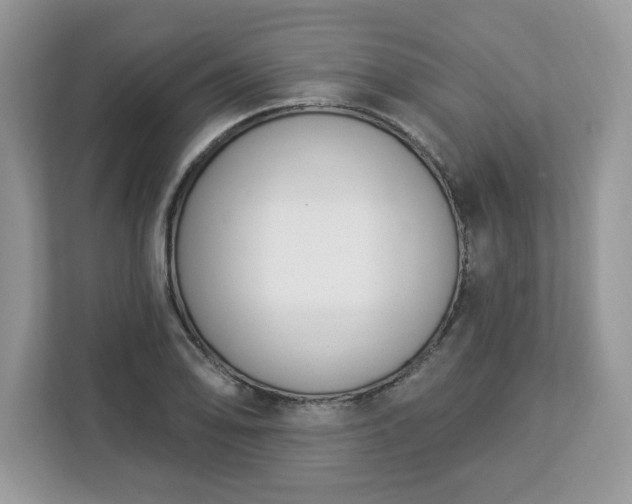 X0000112841078200908281547