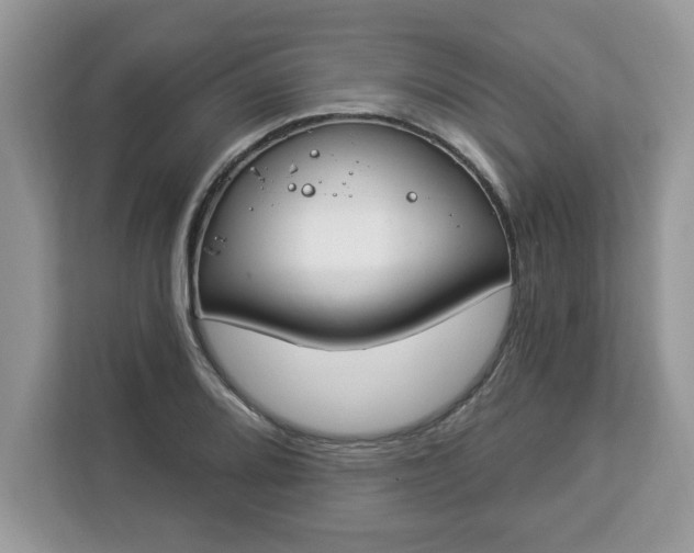 X0000112841080200908281547