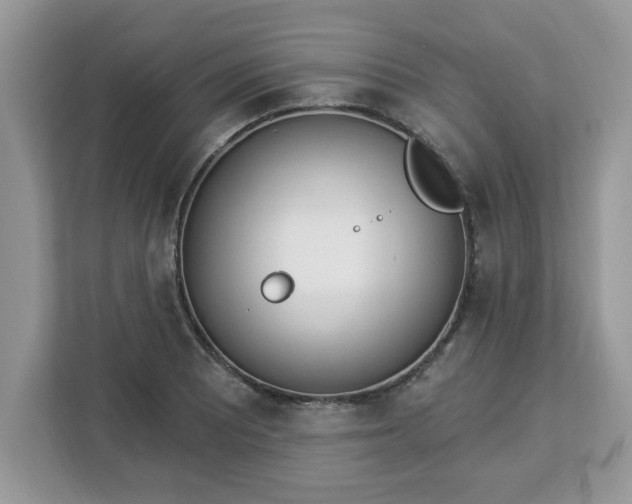 X0000112841081200908281547