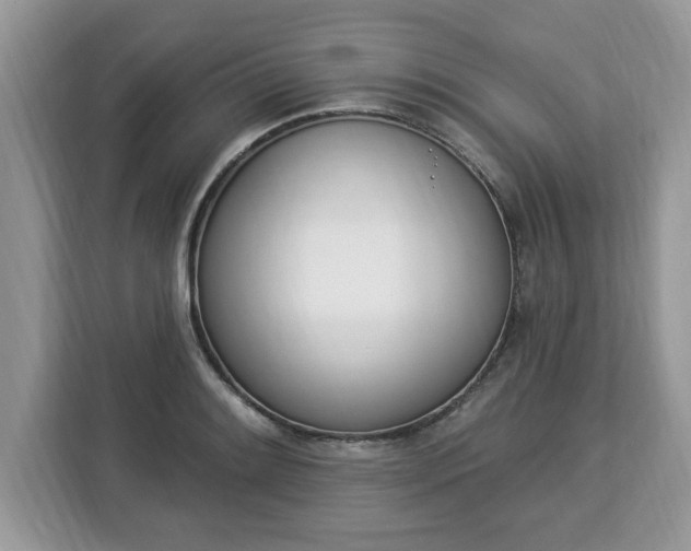 X0000112841084200908281547