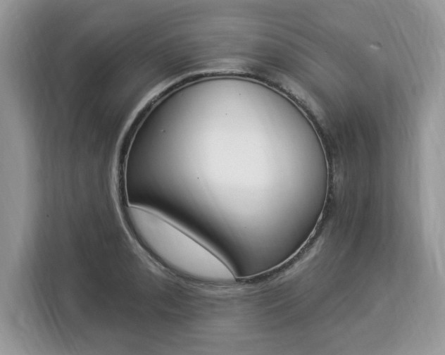 X0000112841085200908281547