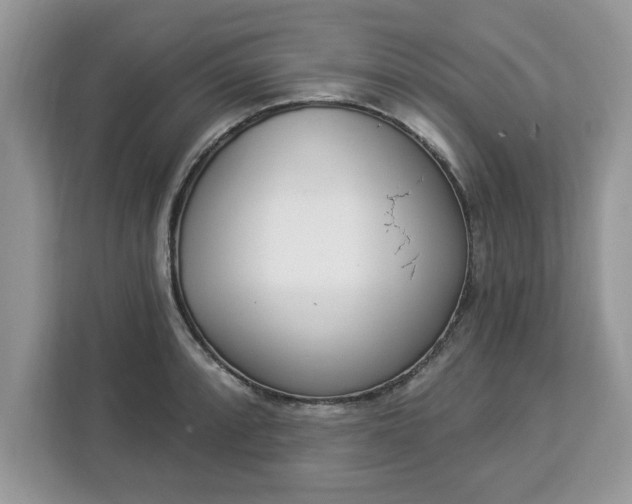 X0000112841088200908281547